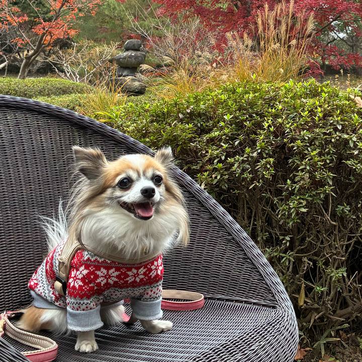 501085cd 8bc8 4078 a7d1 2bf1a9f041ca 1764514340377