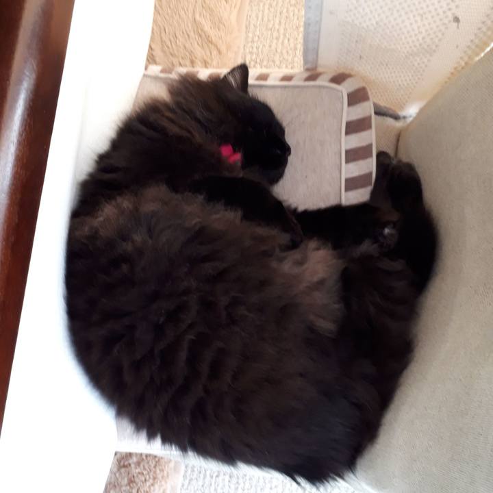 5010cb78 f796 4647 aa66 ffbd7deb195e 1521961384104