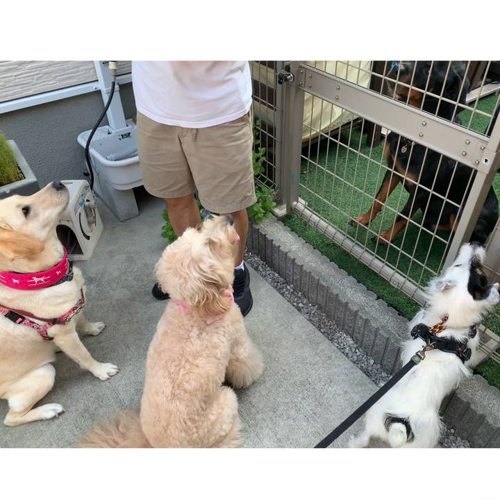 5010cc62 9c57 4540 ada9 713c59c24b63 1723156735478