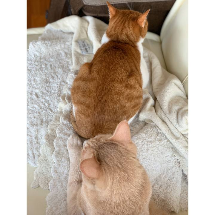 5010d20e de16 4320 8ee7 cb321ac5f56d 1588060951355