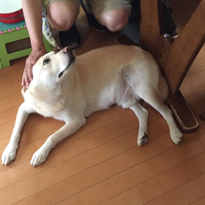 50110012 c247 43a2 bb01 aad3cc599e8d 1529483823983