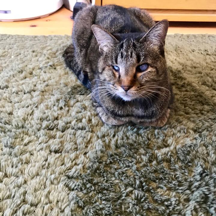 50110b93 218f 4464 a31d ca5714901ed9 1554343857692