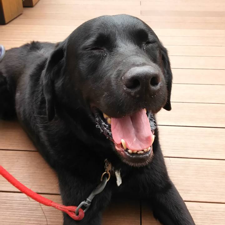 50111a15 3fbf 4ffc 91bc bacc886162d3 1691808146509