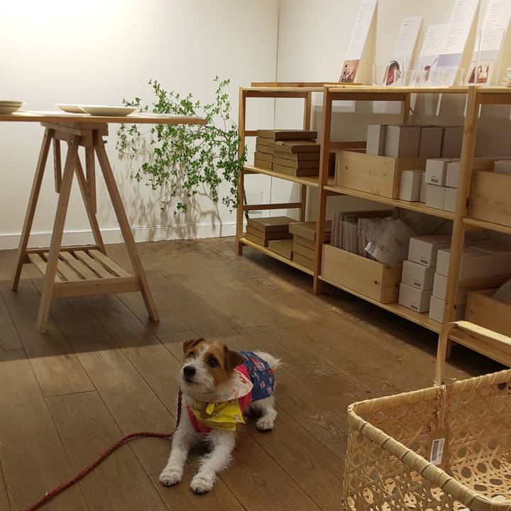 501121dc efaa 4aa0 9502 70a14418aff1 1558264080305