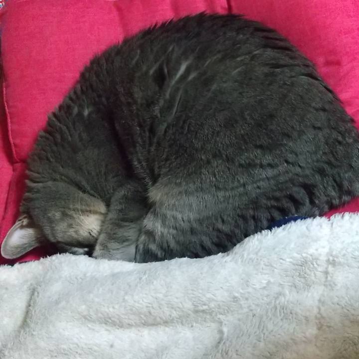 50113341 8d61 429f b306 2d575138fe94 1636285530476