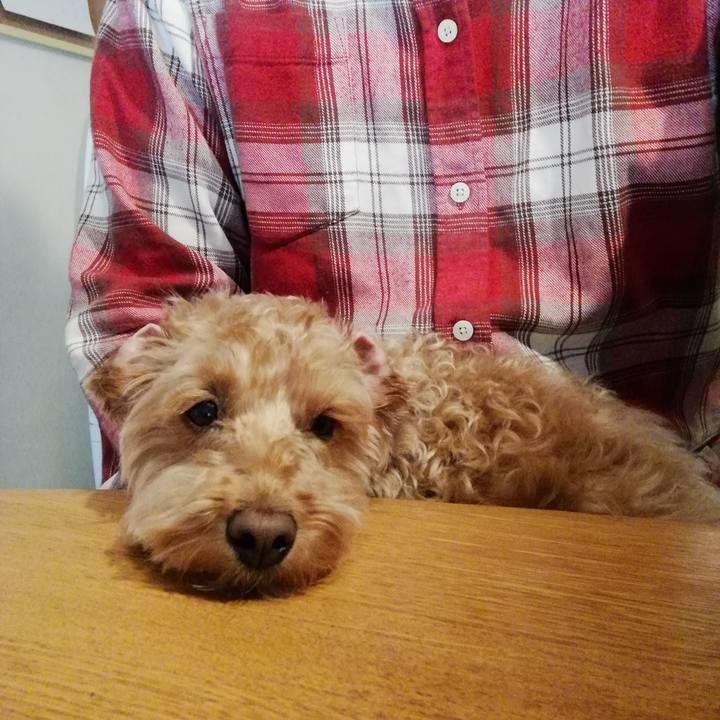 5011342c 3ec4 4b50 b1ef 1747d5b4e637 1554933618047