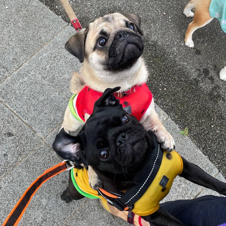 50113e3f 611b 48df a905 f3b65c33940e 1632918820476