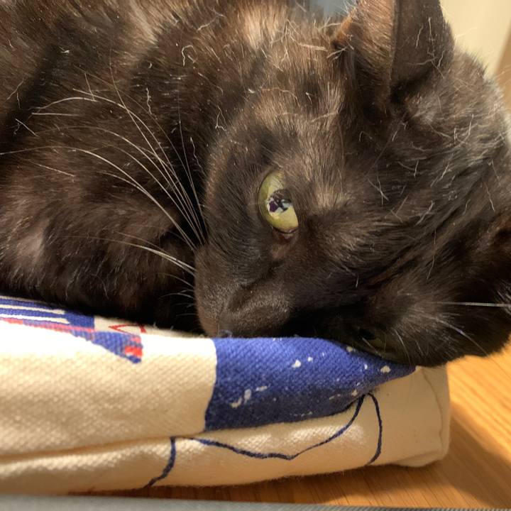 50114802 26c0 498c 8312 b1ab6c8f3c7b 1571474368799