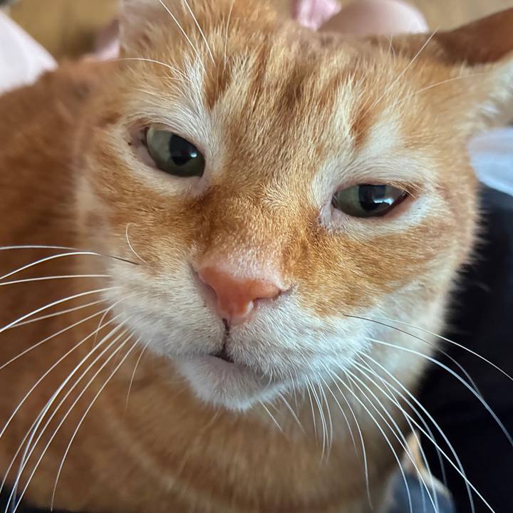 5011a6cf 1cb1 4a9c 985d bd18791bdf7b 1774664122564