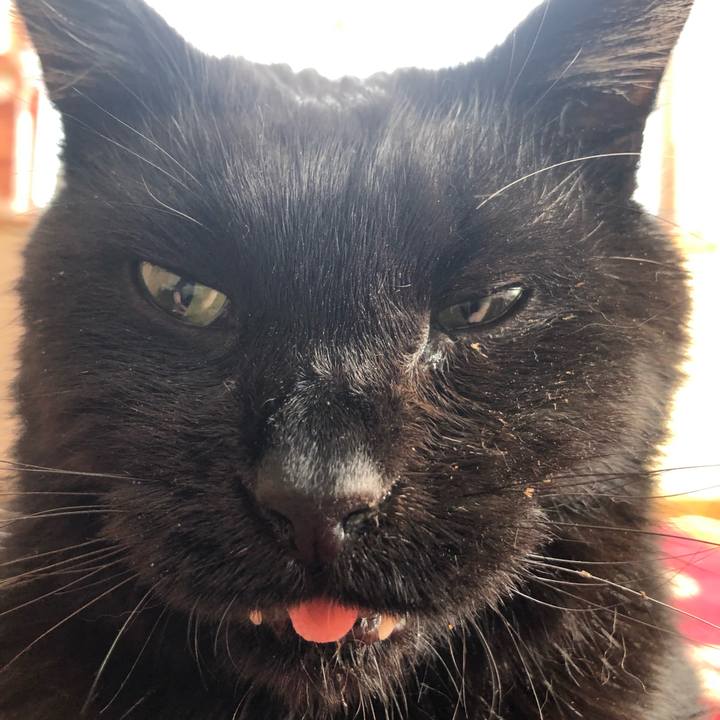 5011abcb 6058 4433 8e3e d7a43077770e 1645232756973