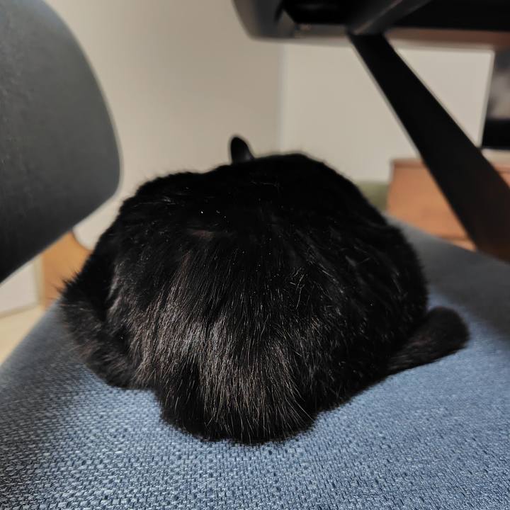 5011d79a 299d 4a06 b1a2 bc088fc89527 1719398106098