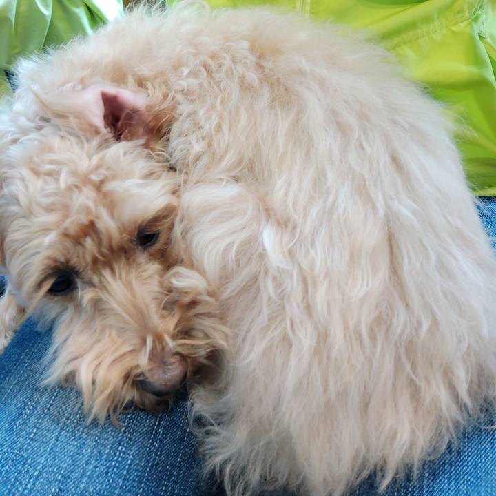 50120307 8b31 4394 9d0d bcc3f2e5ce5d 1591491739429