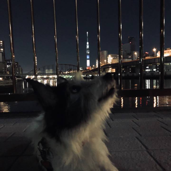 50124cce 6096 49e5 8081 b8bedf0e435a 1539141170940