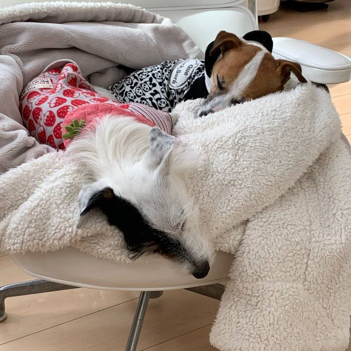 5012673b b9ea 41c8 8ba0 b6adcf3273dd 1581051272064