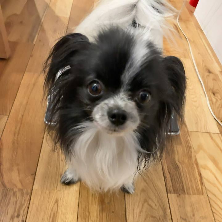 50127062 f81f 4c82 b792 2fead8c7cf78 1556111683895