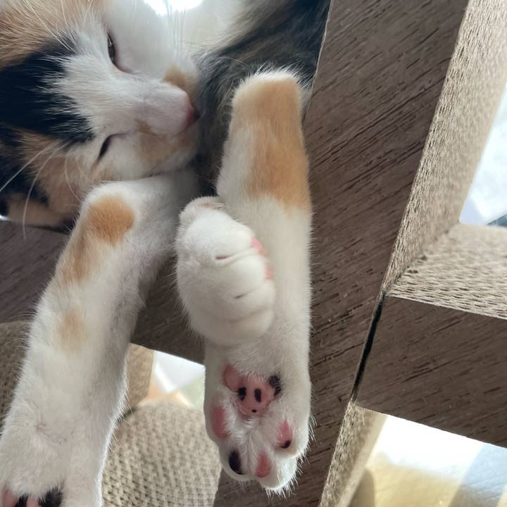 5012949f a196 49ff a47c 2cbba6d5602e 1669939789569