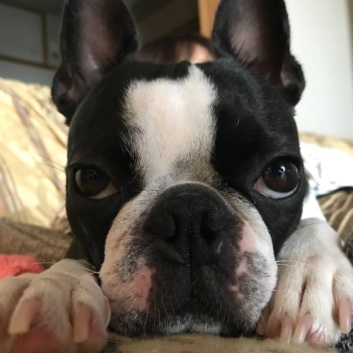 50129bfe 36d4 4187 8e84 0f895238b00b 1571484132468