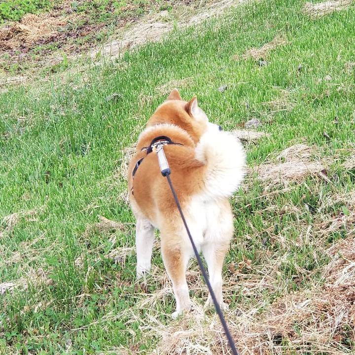 5012c2de 9b77 40ba 849a 521f06032608 1716019634311