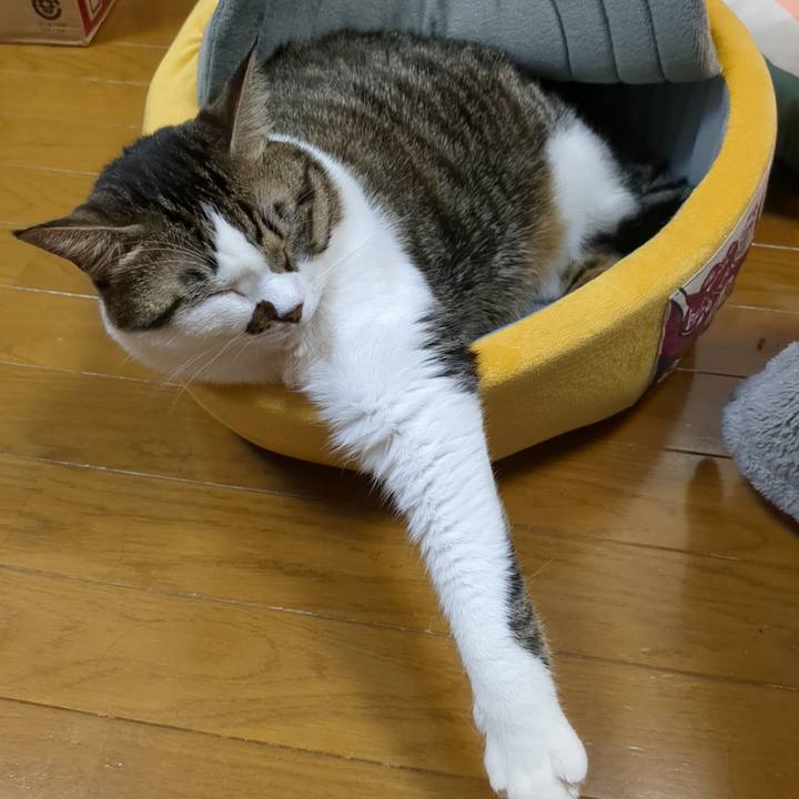 5012c618 5d6b 4a70 857b 8b64a95917eb 1668327160175