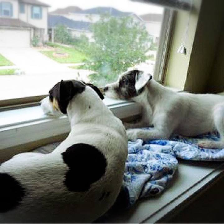 5012cb78 75bd 4e83 b510 0c69b5c6ec68 1680303825453