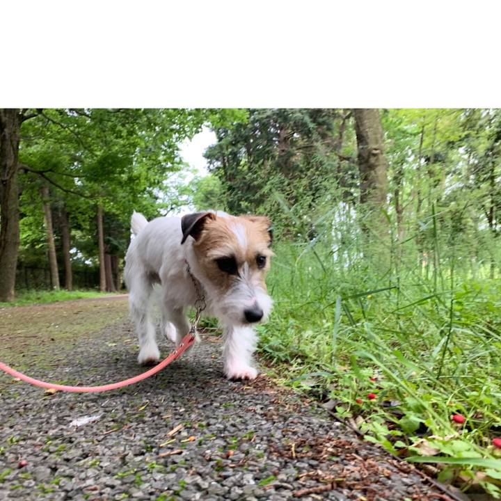 5012cc49 2839 4662 aca8 7057b6472a7e 1590041008059