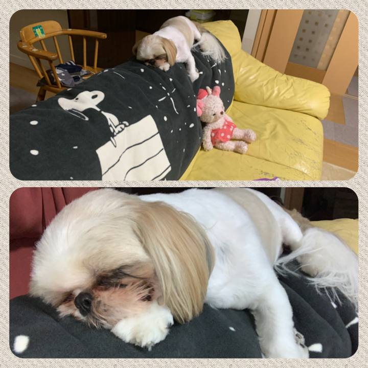 5012dee6 7630 4677 bc86 5b5dc722b62d 1626350357232