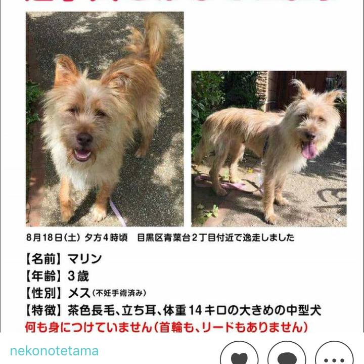 5012f978 b7af 495b afce f22d03ff2e67 1534833619466