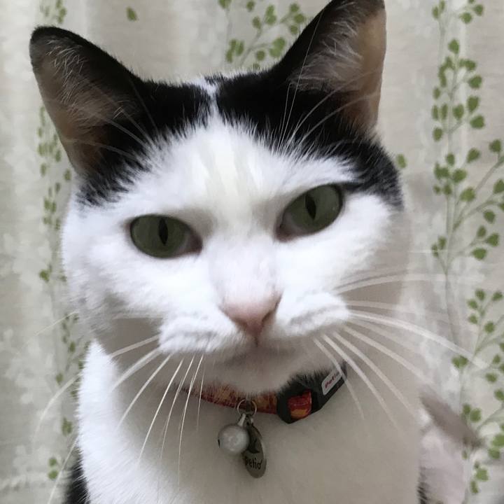 50133eda fec4 4fbc bf97 810b312a5e13 1544621606285