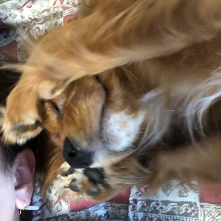 50134c27 8050 4e29 a09d 1c336e7e553a 1533468182416