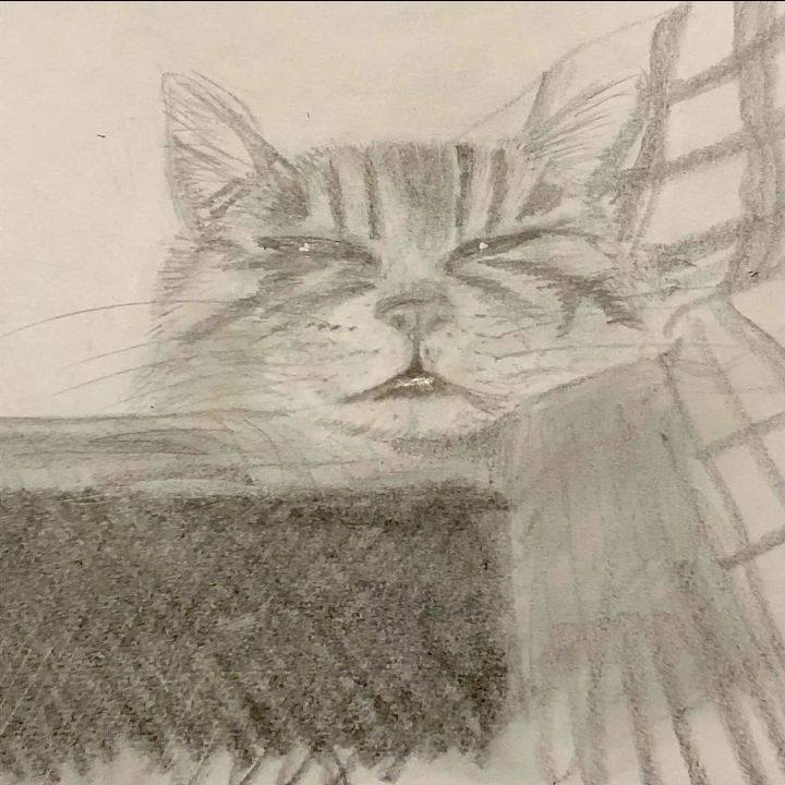 501366b0 3e56 4328 add0 7ba97b5e51a1 1630533398019