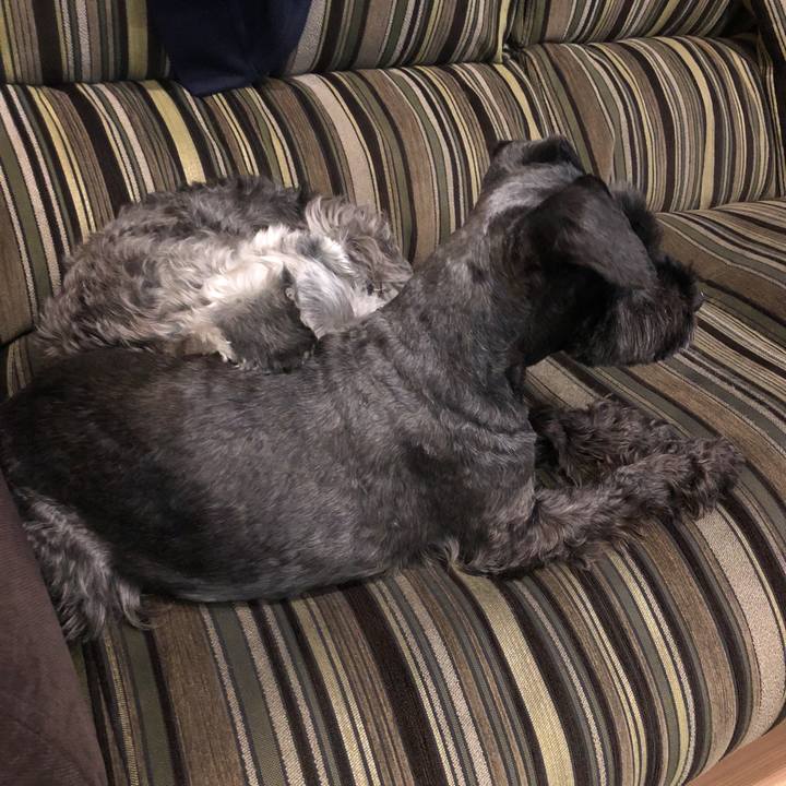 50136854 1620 4ff7 a4bb 479c50b1ee15 1519936061534