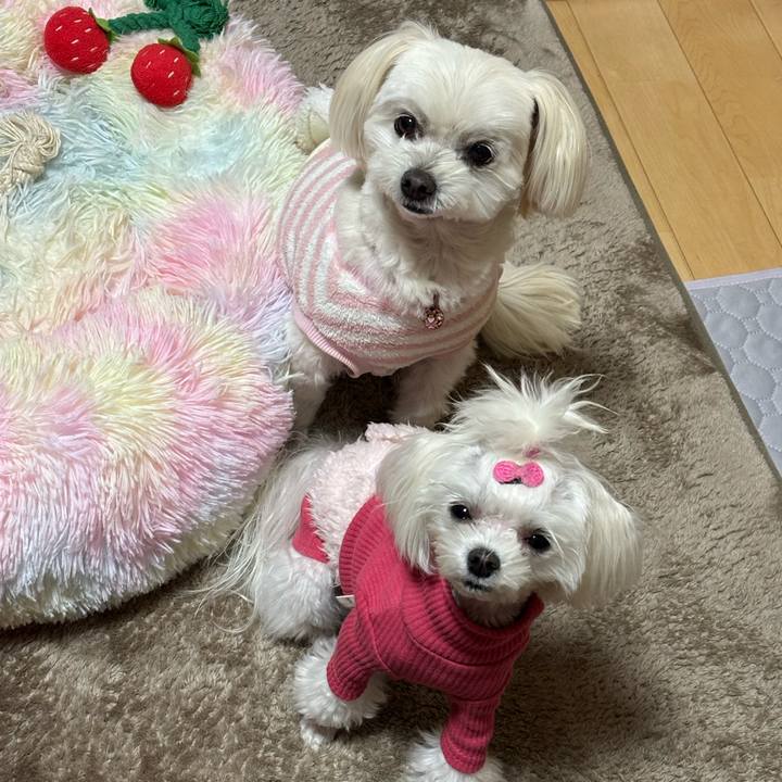 5013748d 93b9 402e b515 8ee561570ef2 1734250003428