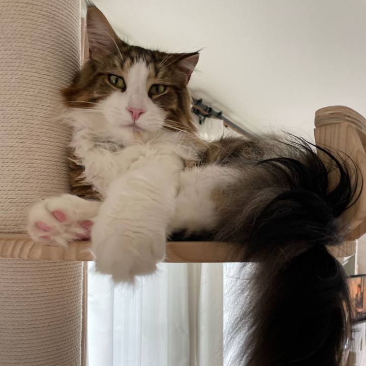 50137a5a 32d8 4a43 ae06 70c75ba3a433 1657344119346