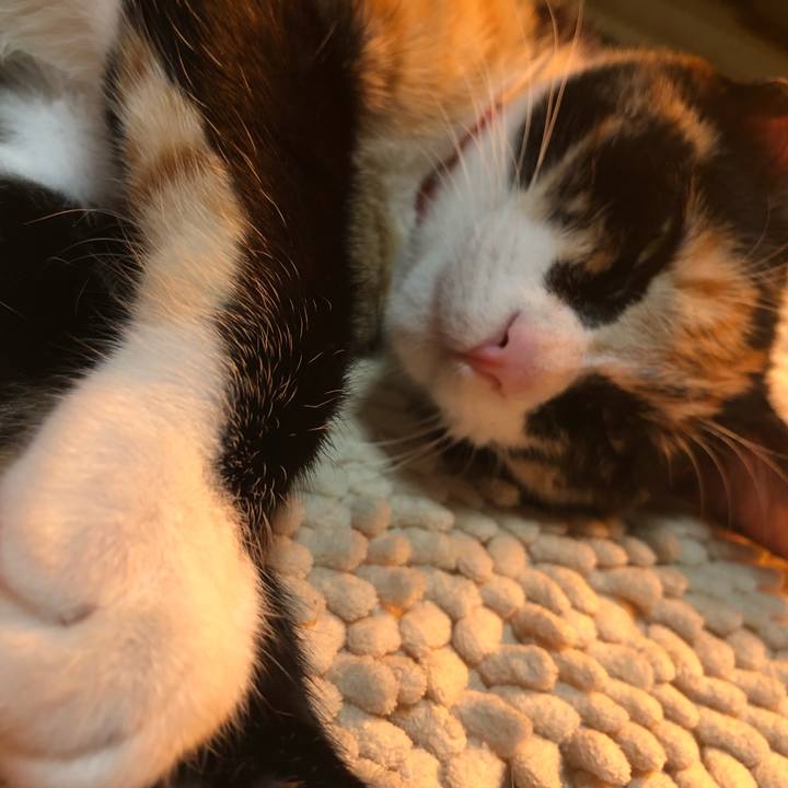 50137e4f 69f4 4242 aa78 a8e5cdc2af7c 1550742247770