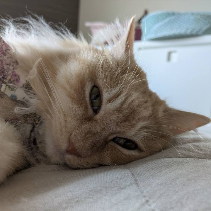 50139867 88fc 4582 9e87 8a87f1f8a61b 1751683525163