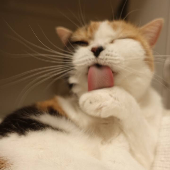 5013e318 0751 4386 9fab d01d744442e5 1570463713381