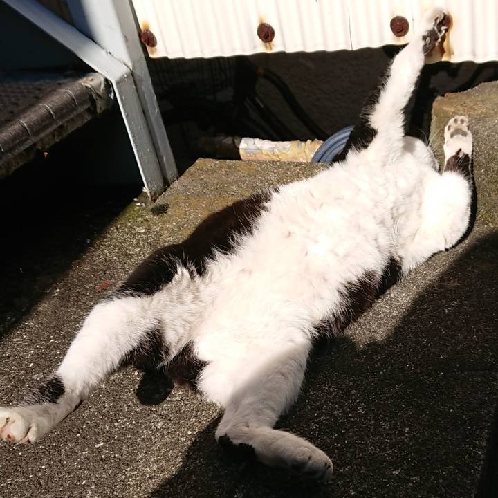 501406b1 de50 489c 92dc fca360e75ff4 1547349342006