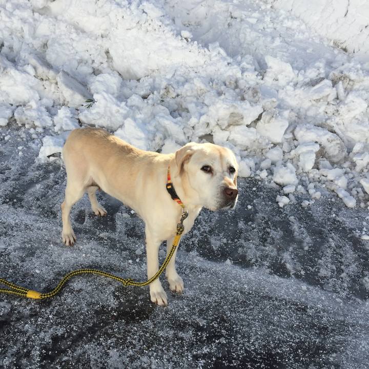 50140fd2 0f7f 4981 a210 7a322aa6d6a7 1518565271178