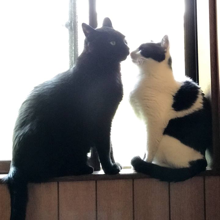 50141d0f 248a 4ac9 a728 b58c2f5b8e96 1527559678461