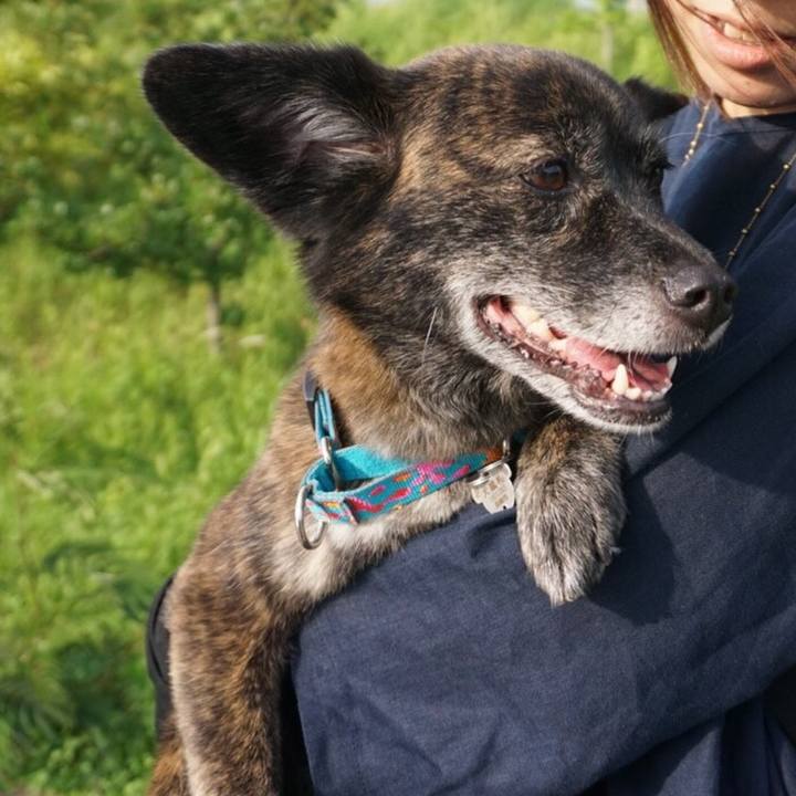 50148576 6da5 4d38 8baf a522c752ab50 1561213347888