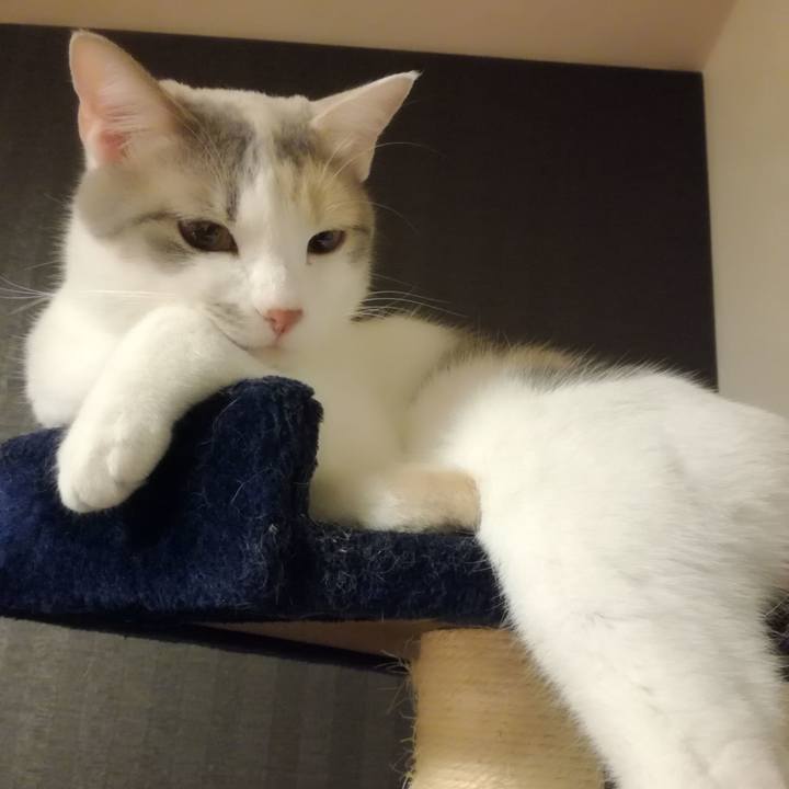 5014c4e5 13da 4197 af6f 14aa483bbe2a 1522972141650