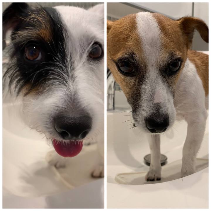 5014cbca 1624 4a93 a72f 3eaca43c87d1 1567035416681