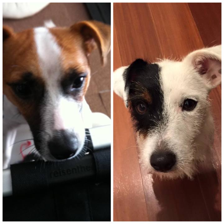 5014cbf0 3d6e 4f30 b7d3 f96d347fdb49 1572216988797