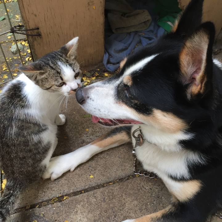 5014ccba c585 46a3 899c f267e97c4e0a 1507980865093