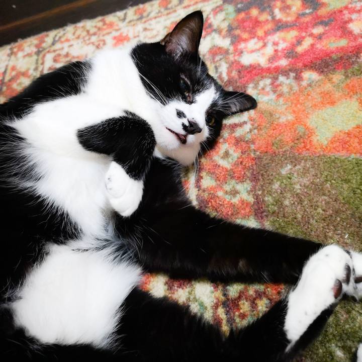 5014dbda 7f7e 4cb6 90cf 0287d75a52dc 1570552251021