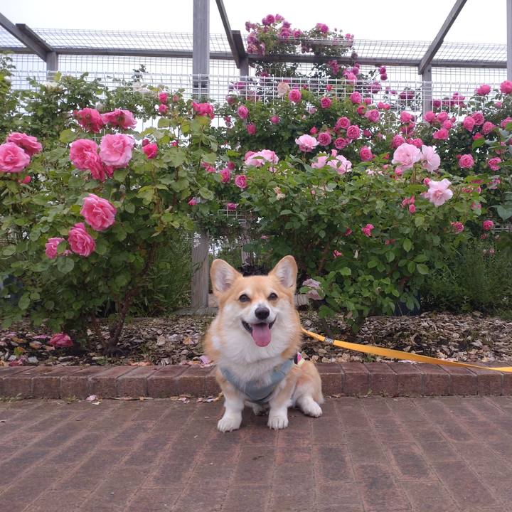 5014ec49 16a4 49f9 b2be 0bf53fca8b46 1654951740460