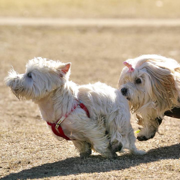 50151858 ebf7 43e9 b32c 62c56f4107ba 1515329465698