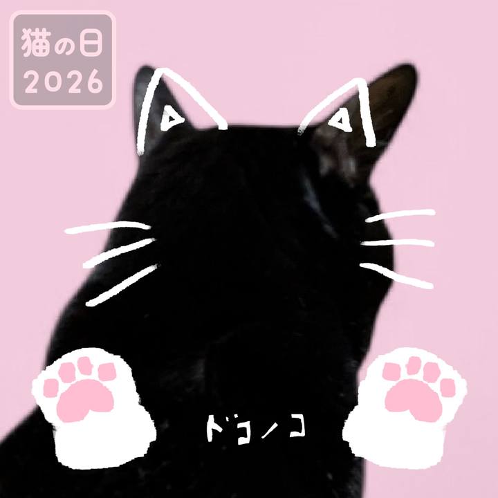 501523f7 b20f 45d0 9a19 b6b01fb5c234 1771724083815