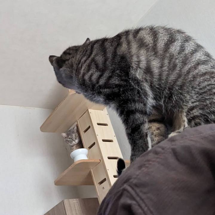 501530ff b620 4f77 b535 80dc6254629a 1710129272471