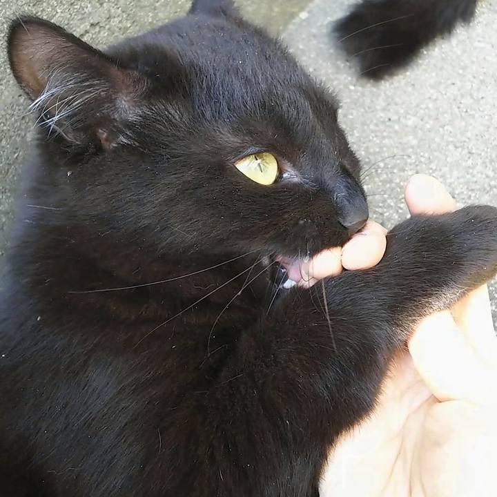 50154480 35bf 4349 8898 279b12da7a4f 1556947006745